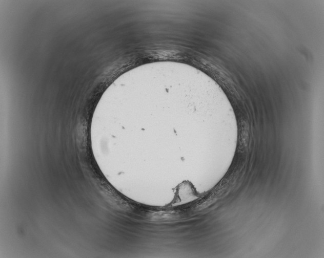 X0000111030461200908061440