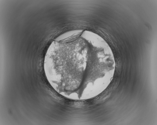 X0000111030462200908061440