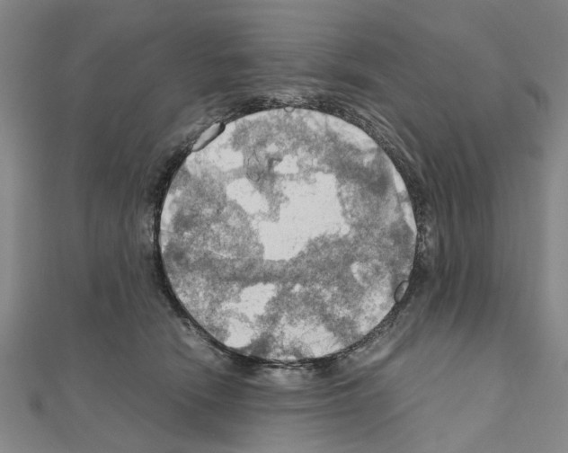 X0000111030466200908061440