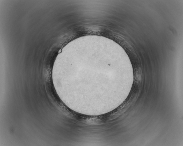 X0000111030468200908061440