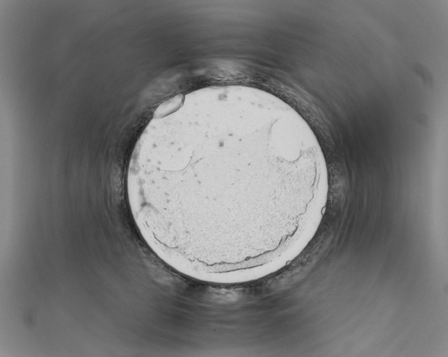 X0000111030469200908061440