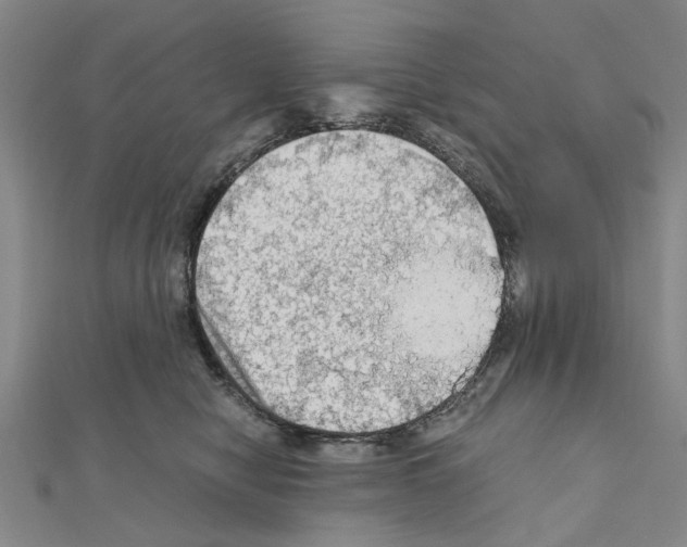 X0000111030470200908061440