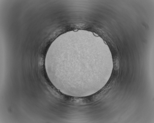 X0000111030472200908061440