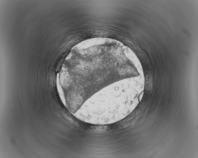 X0000111030474200908061440