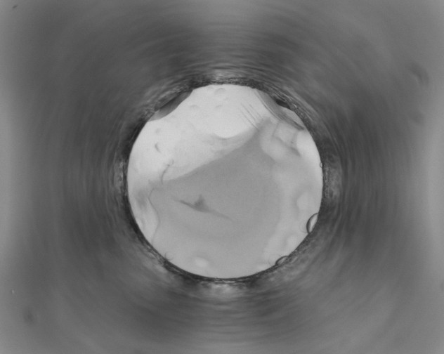 X0000111030475200908061440