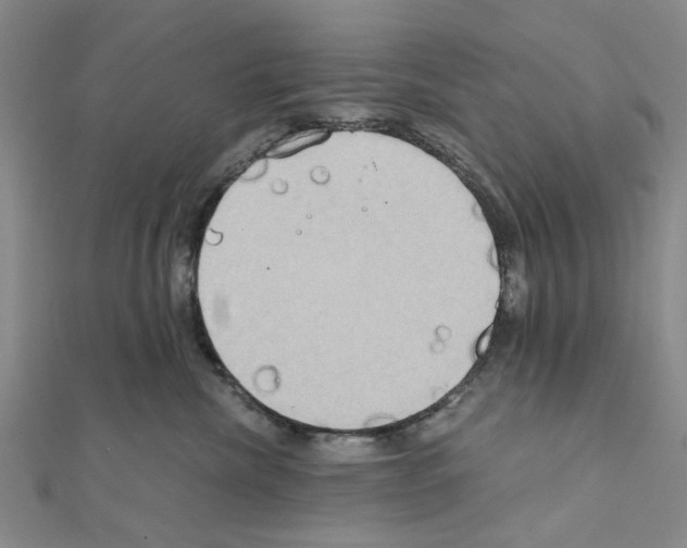 X0000111030476200908061440
