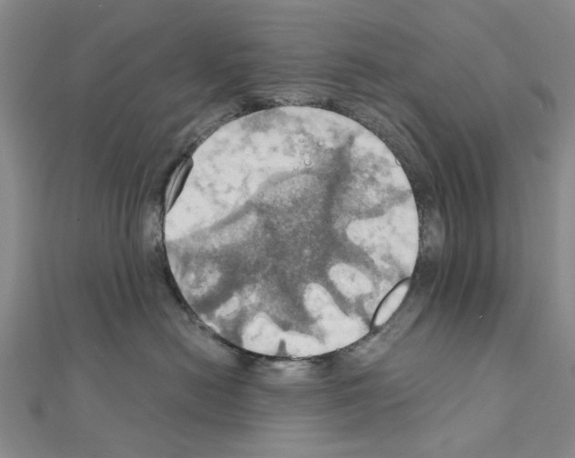 X0000111030478200908061440