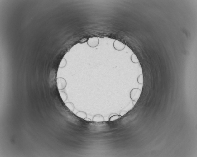 X0000111030480200908061440