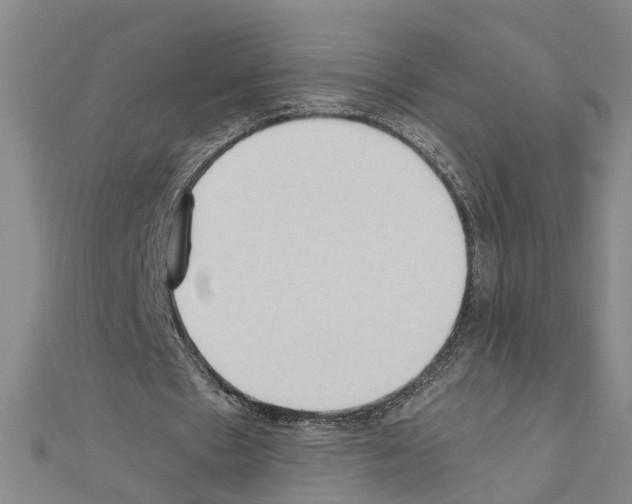 X0000111030481200908061439
