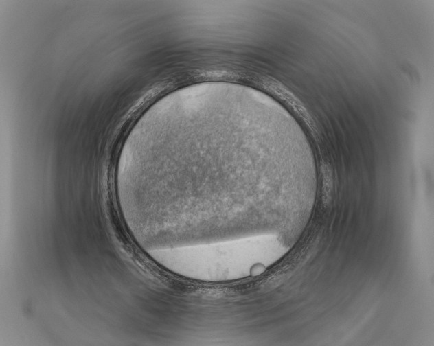 X0000111030482200908061439