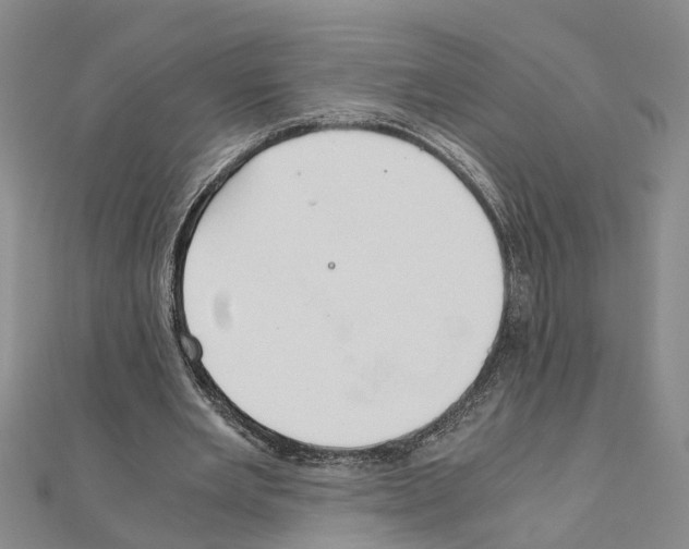 X0000111030485200908061439