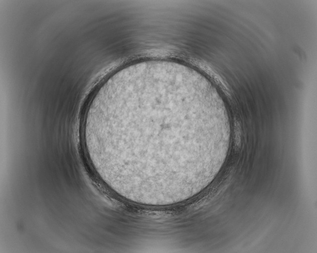 X0000111030486200908061439
