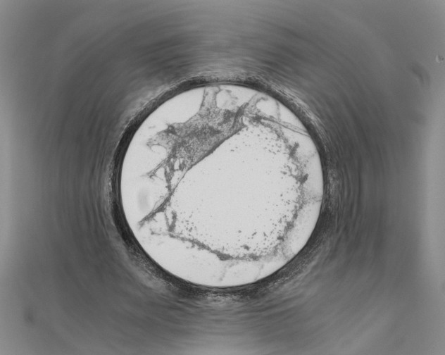 X0000111030487200908061439