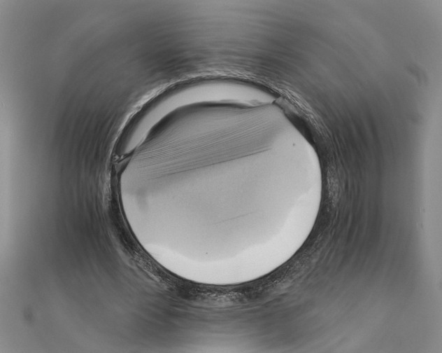 X0000111030488200908061439