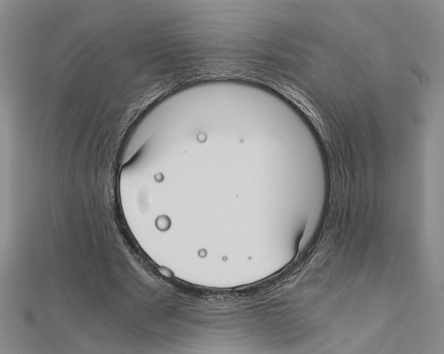 X0000111030489200908061439