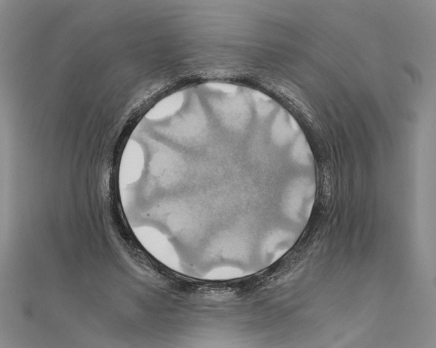 X0000111030491200908061439