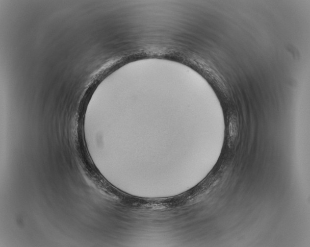 X0000111030492200908061439