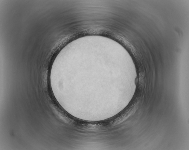 X0000111030493200908061439