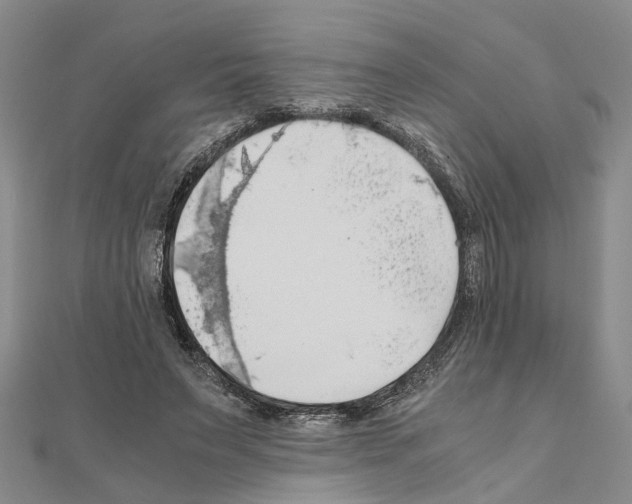 X0000111030495200908061439