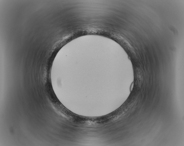 X0000111030496200908061439