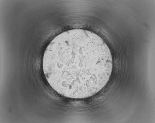 X0000111030499200908061439
