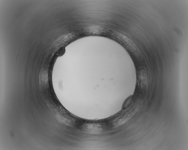 X0000111030500200908061439