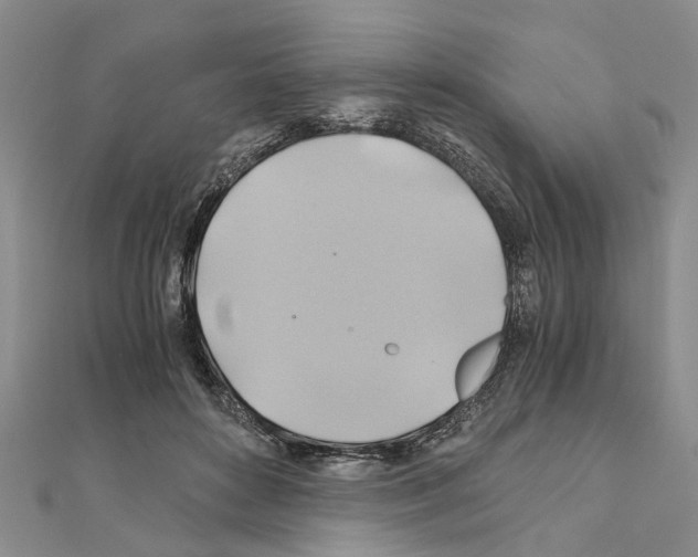 X0000111030504200908061439