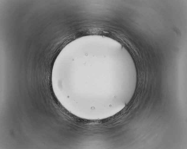 X0000111030505200908061439