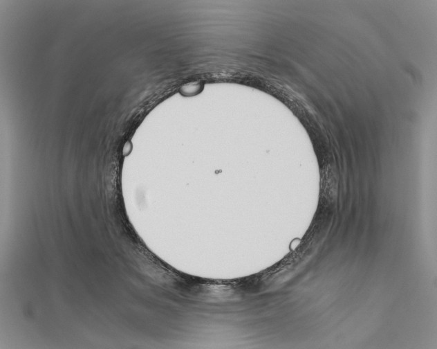 X0000111030509200908061439