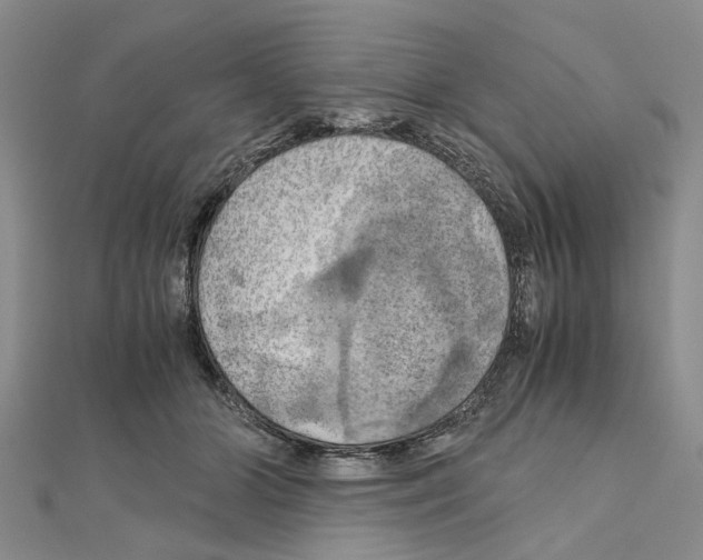 X0000111030510200908061439