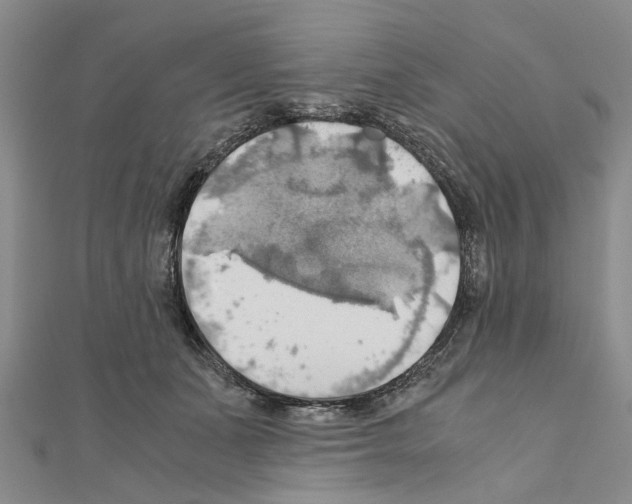 X0000111030511200908061439