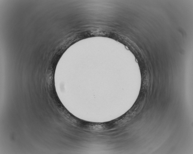 X0000111030513200908061439