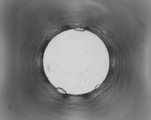 X0000111030515200908061439
