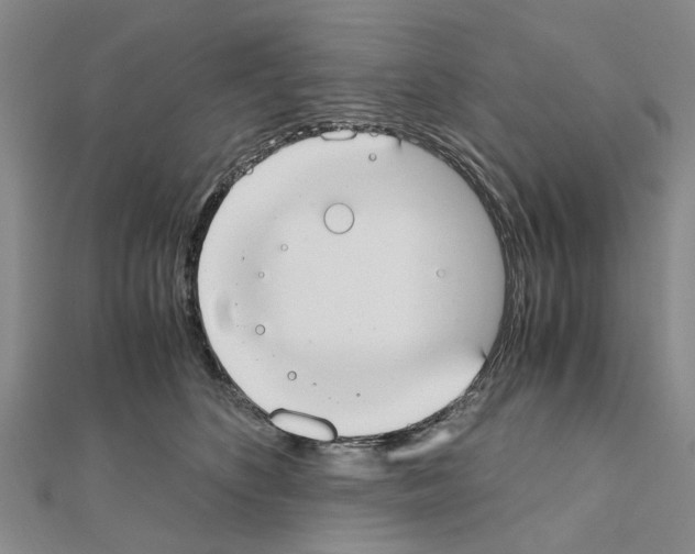 X0000111030516200908061439