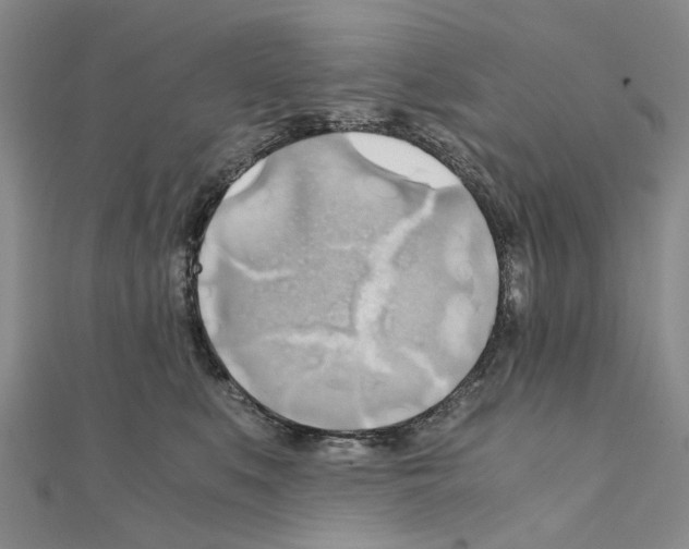X0000111030519200908061438