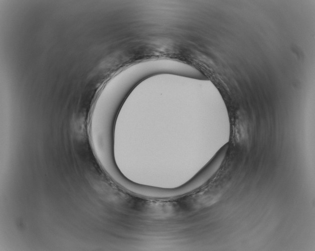 X0000111030520200908061438