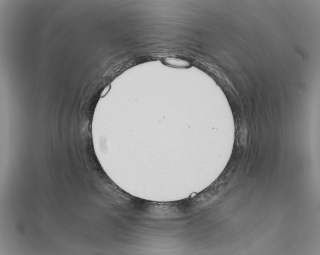 X0000111030521200908061438
