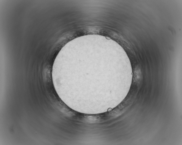 X0000111030522200908061438