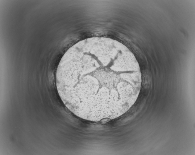 X0000111030523200908061438