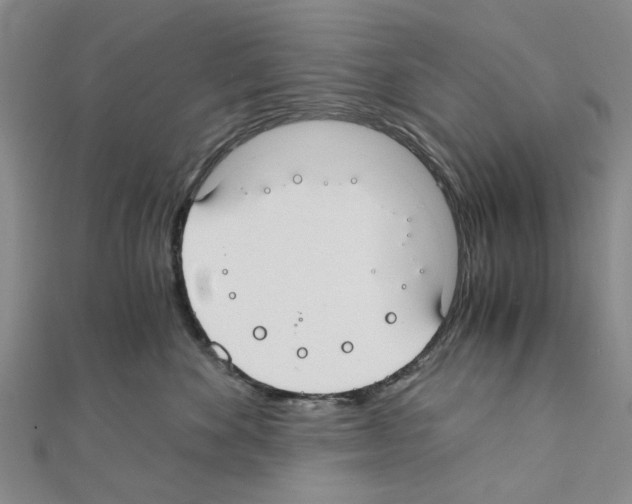 X0000111030524200908061438