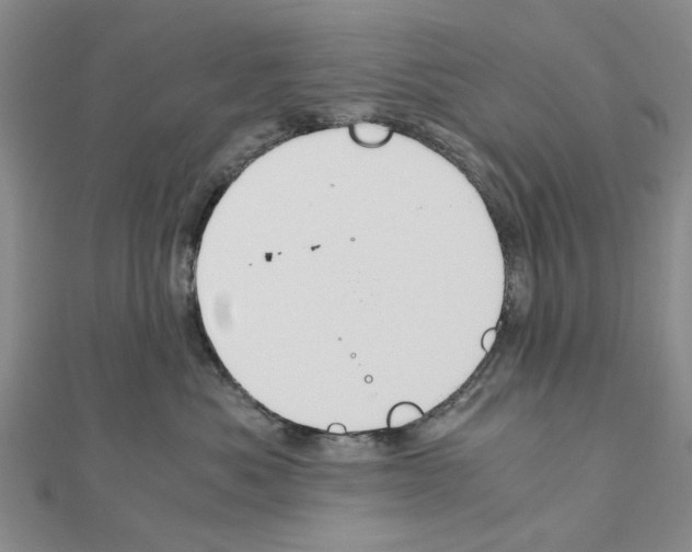 X0000111030525200908061438