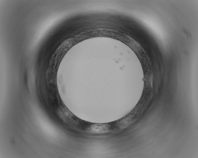 X0000111030526200908061438