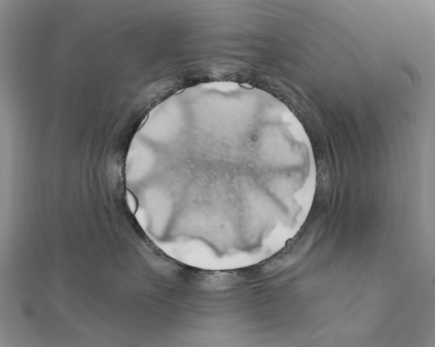 X0000111030527200908061438