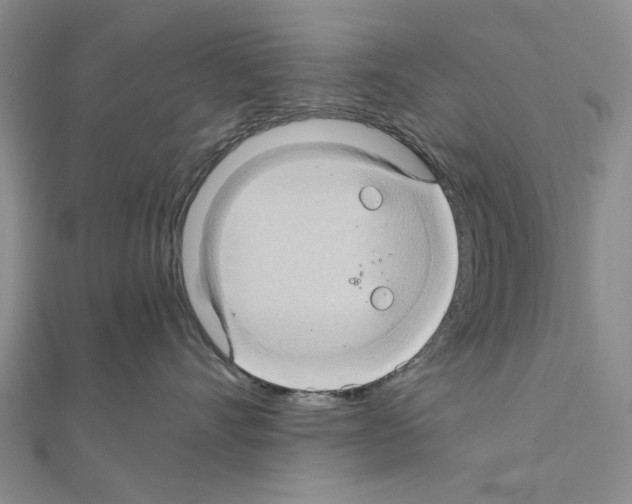 X0000111030528200908061438