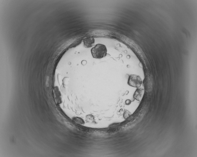 X0000111030529200908061438