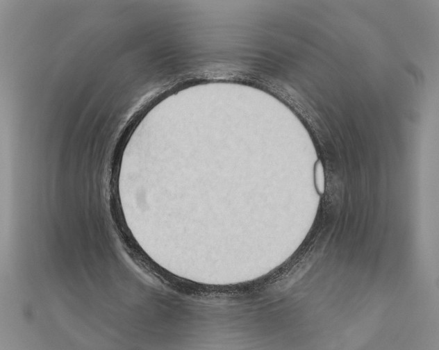 X0000111030530200908061438