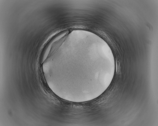X0000111030531200908061438