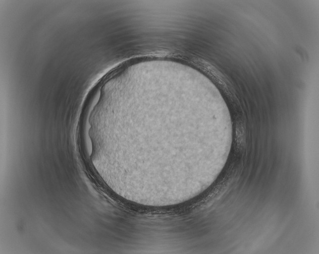 X0000111030532200908061438