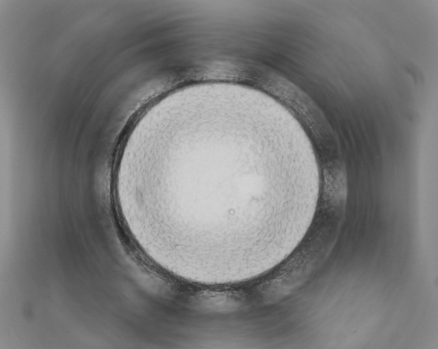 X0000111030534200908061438
