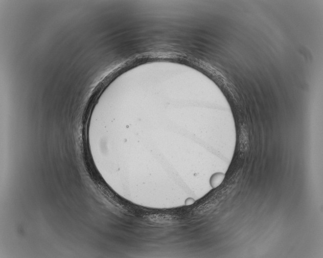 X0000111030535200908061438